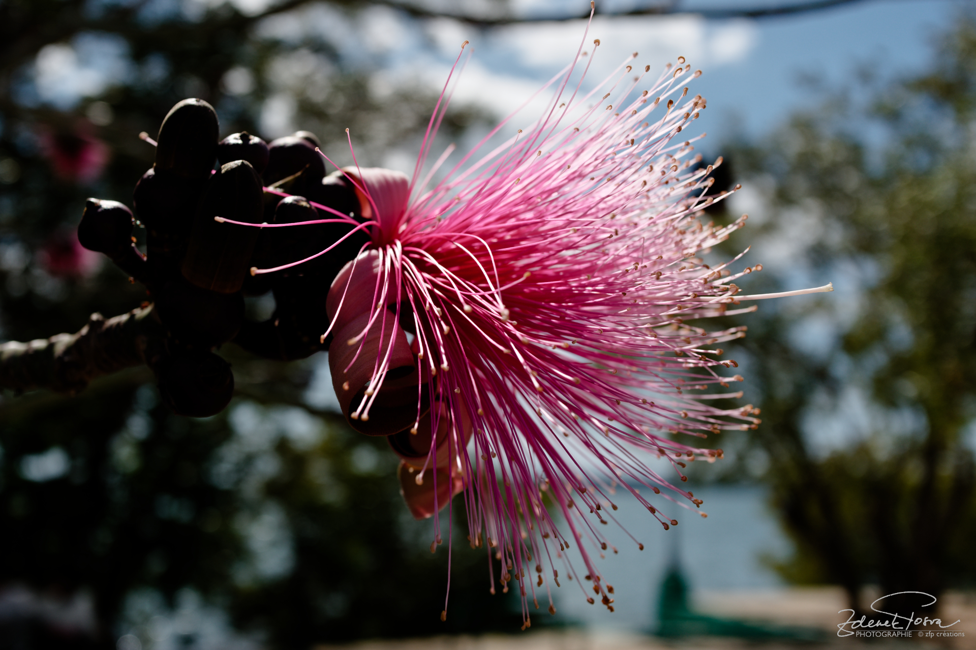 Les beautés de la nature
